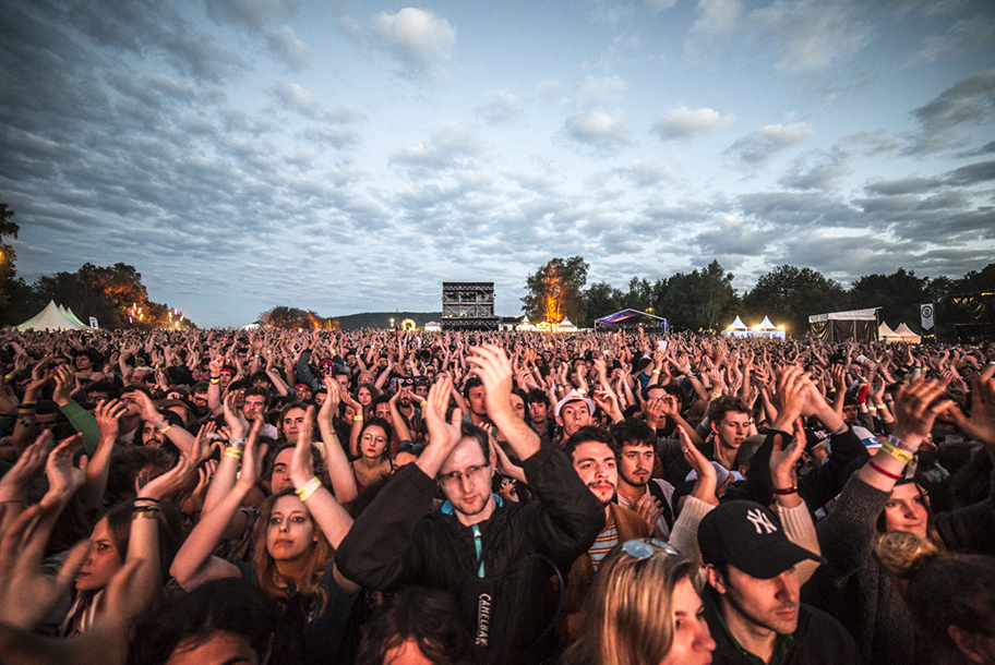 the wombats